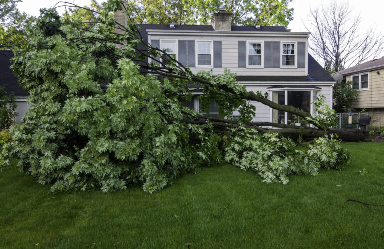 Boom valt door nattuurramp op huis